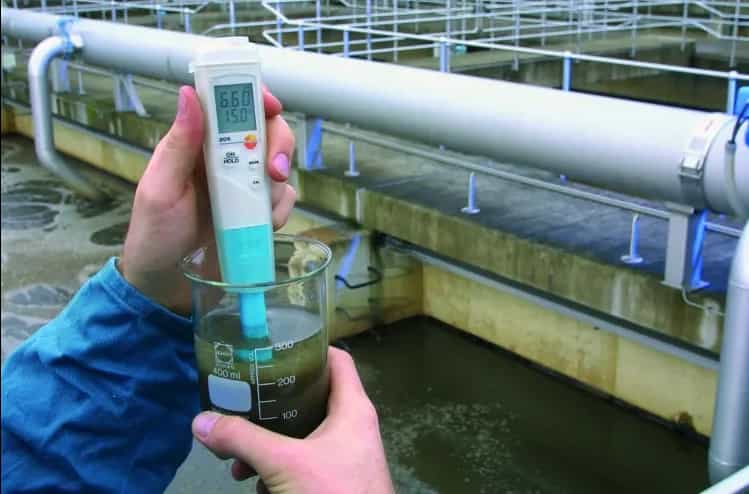 Testo 206-pH1 podczas pomiaru pH próbki wody w zlewce na terenie oczyszczalni ścieków (miniatura)