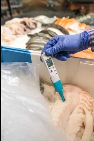 pH-metr Testo 206-pH2 z sondą penetracyjną podczas pomiaru pH ryb w supermarkecie (miniatura)
