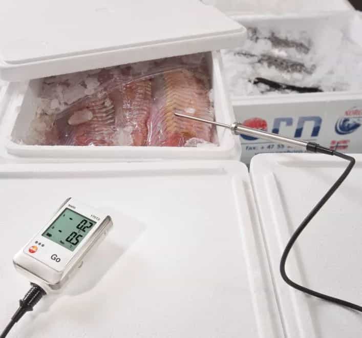 Testo 175 T2 z sondą zewnętrzną mierzącą temperaturę ryb w skrzynce z lodem (miniatura)