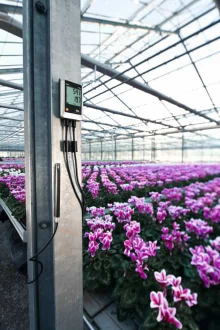 4-kanałowy rejestrator temperatury i wilgotności Testo 176 H1 – widok dodatkowy 4 (miniatura)