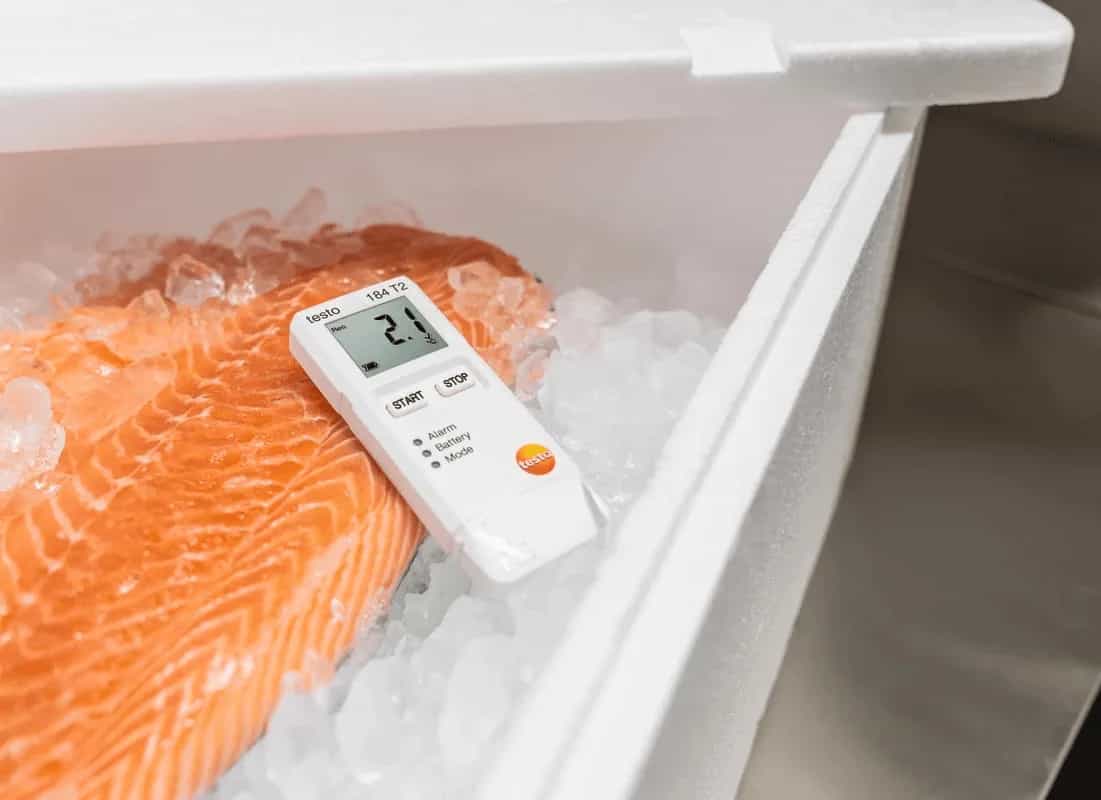 Rejestrator Testo 184 T2 ułożony na lodzie obok łososia — kontrola łańcucha chłodniczego żywności (miniatura)