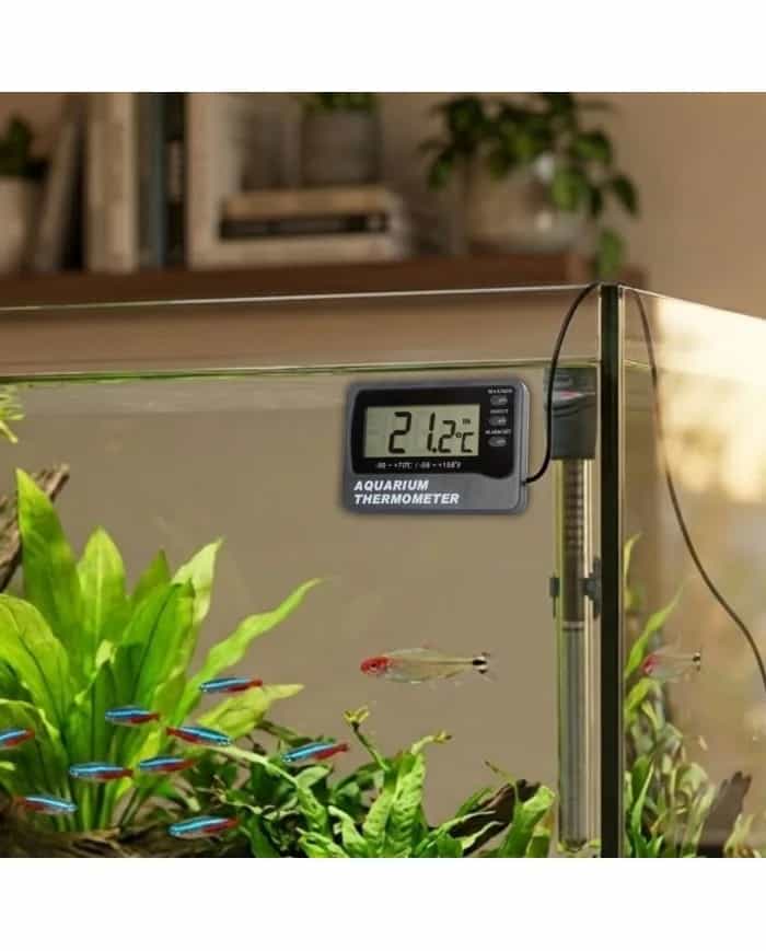 Termometr ETI 810-920 zamocowany na ściance akwarium z neonkami — kontrola temperatury wody w zbiorniku roślinnym (miniatura)