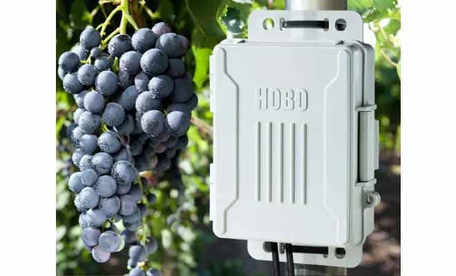 Rejestrator HOBO Micro Station H21-USB zamontowany na słupie w winnicy — praca w terenie (miniatura)