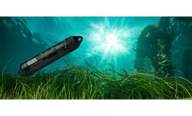 Rejestrator HOBO MX20L-02 zanurzony pod wodą wśród roślinności wodnej — praca w środowisku wodnym (miniatura)