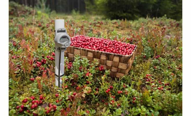 Rejestrator HOBO TidbiT MX2205 zamontowany na słupku w strumieniu górskim — pomiar temperatury wody w terenie (miniatura)