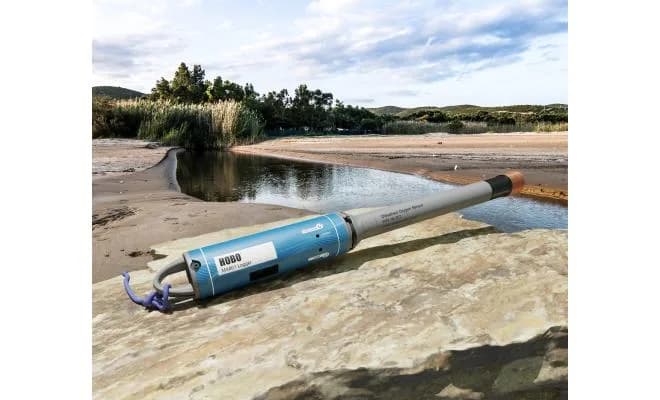 Czujnik tlenu rozpuszczonego HOBO W-DO (Dissolved Oxygen Sensor) — widok samego czujnika na białym tle