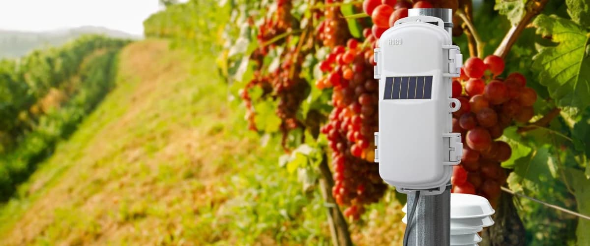 Bezprzewodowa sieć czujników HOBOnet — zdalny monitoring warunków w terenie