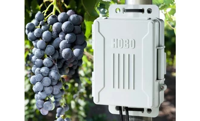 Rejestrator HOBO Micro Station H21-USB zamontowany na słupie w winnicy — praca w terenie (miniatura)
