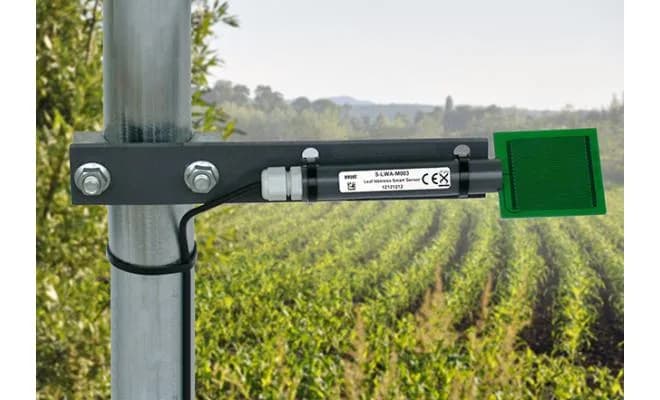 Czujnik wilgotności liści HOBO Smart Sensor zamontowany na słupie w polu uprawnym, z płytką pomiarową skierowaną nad rośliny (miniatura)