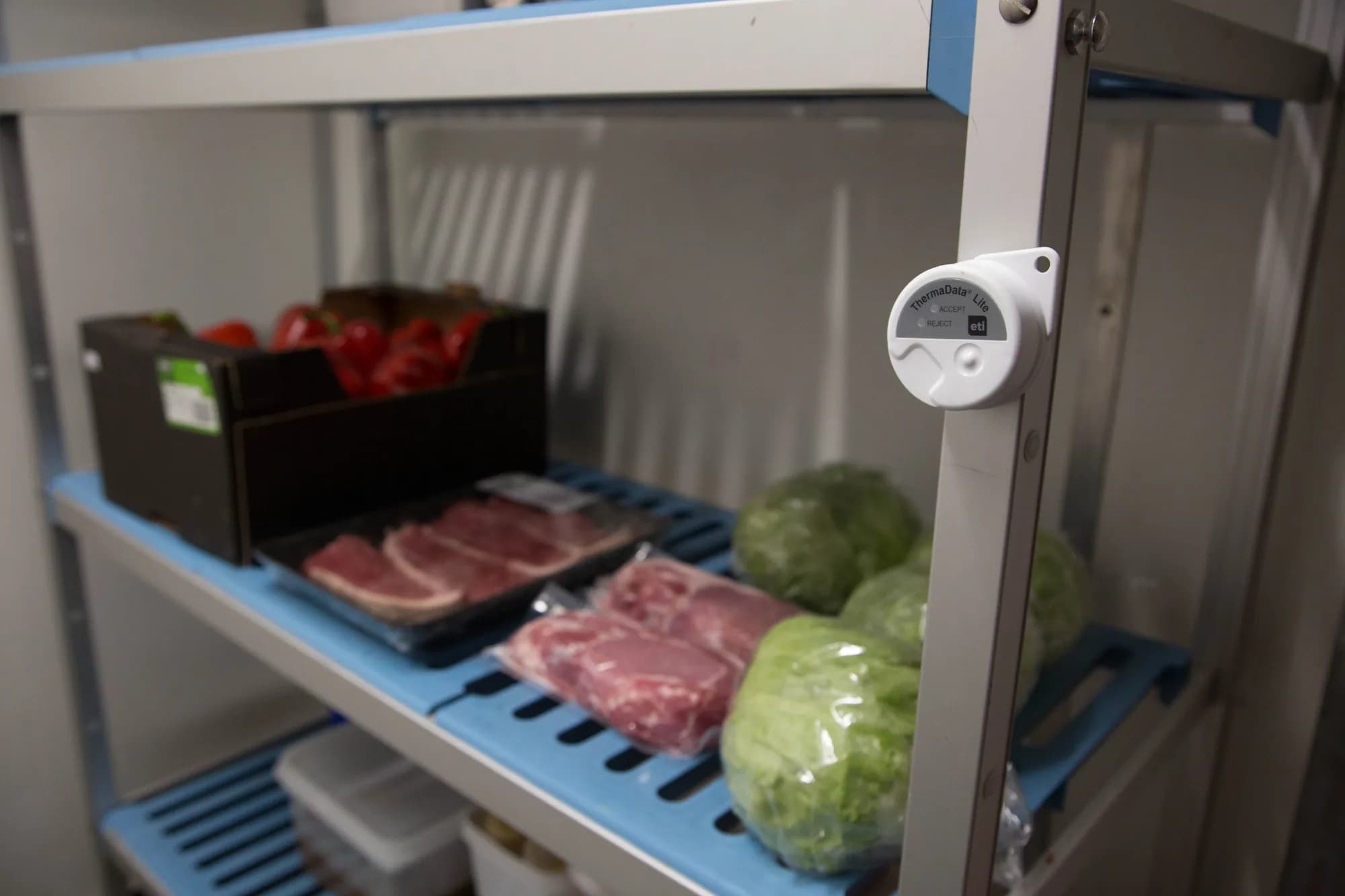 Rejestrator temperatury ETI ThermaData Lite – zakres -40 do +85 °C, IP55 — Biały
