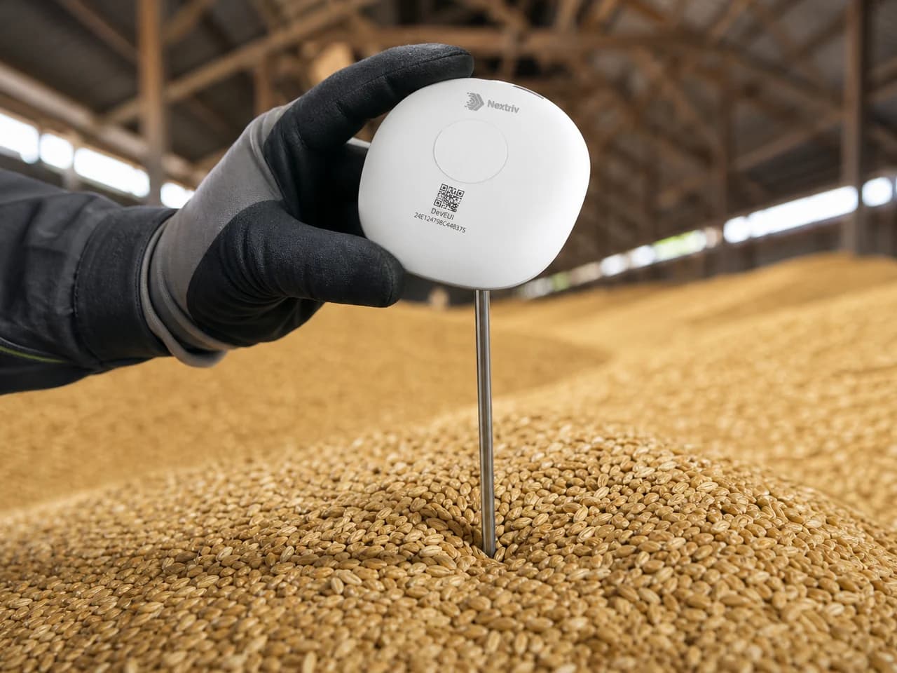 Monitoring temperatury ziarna w silosie — Nextriv Probe Food