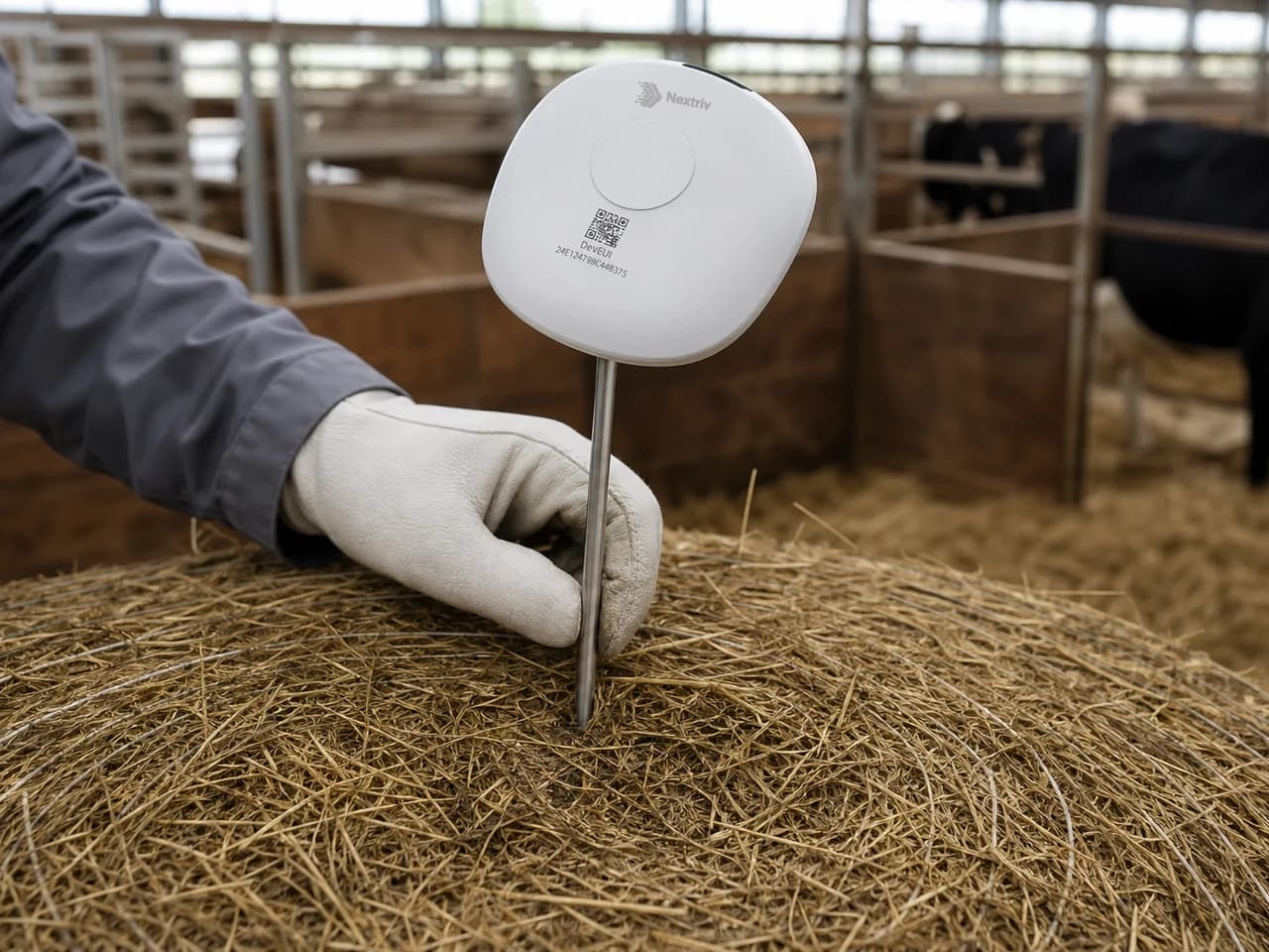 Ochrona pasz przed zaparzaniem w budynku inwentarskim — Nextriv Probe Food